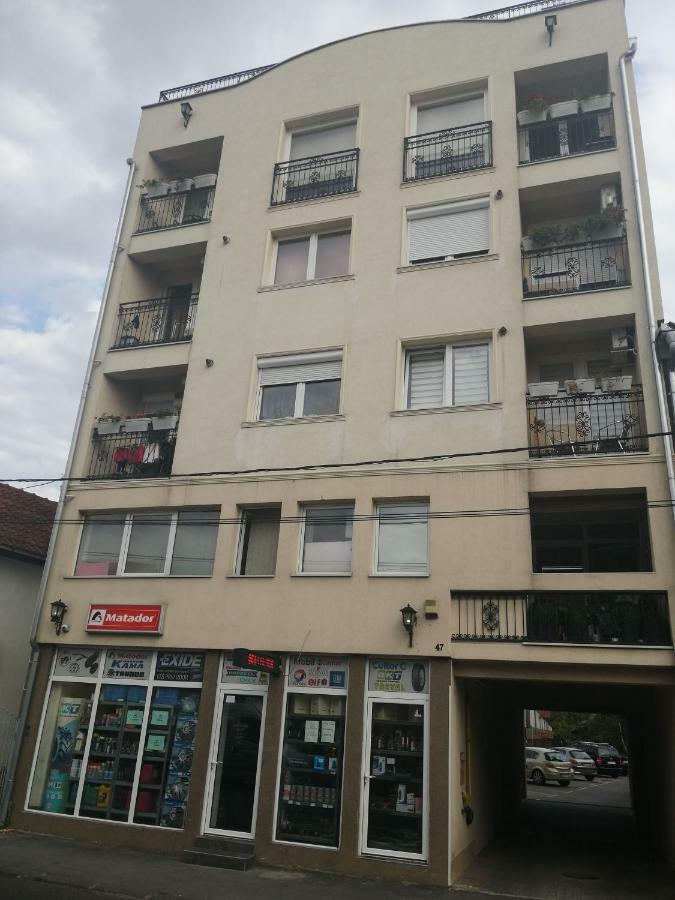 New And Nice Apartments Kragujevac Exteriér fotografie
